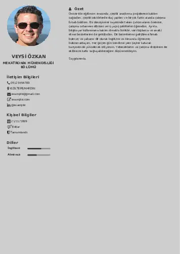 Mekatronik Mühendisliği Cv Örnekleri cv indir